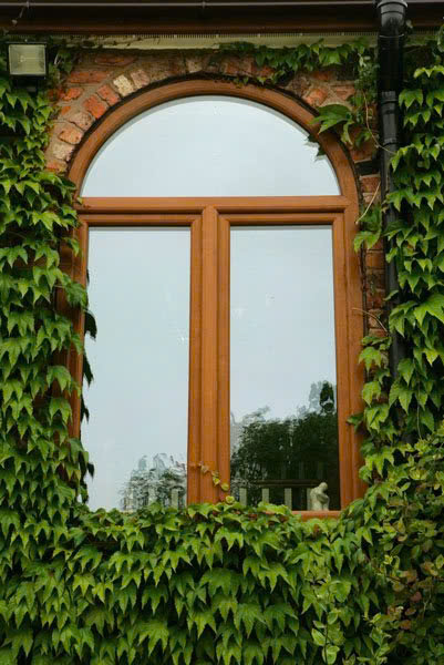 Các mẫu cửa nhôm Eurowindow thông dụng